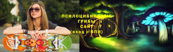 сатива Каменногорск