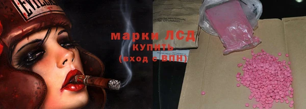 сатива Каменногорск