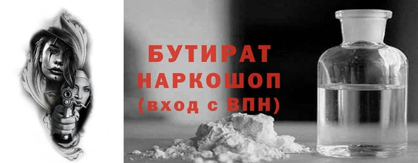 сатива Каменногорск