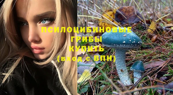 сатива Каменногорск