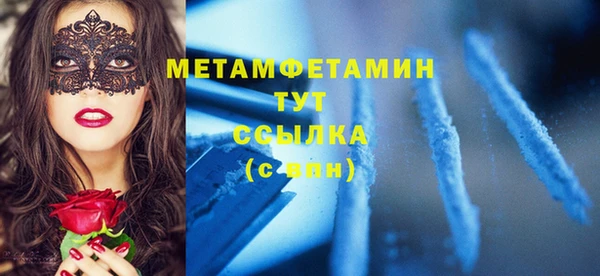 сатива Каменногорск