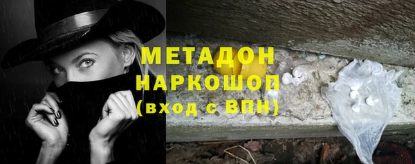 сатива Каменногорск