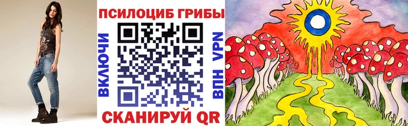 где продают   Невинномысск  Галлюциногенные грибы Cubensis 